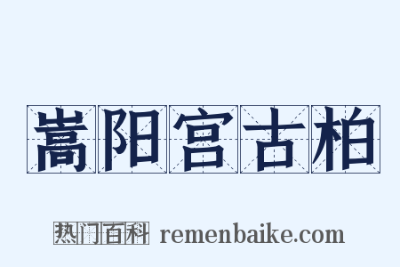 嵩阳宫古柏是什么意思的图片